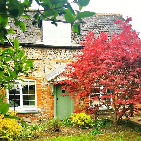 Historic, Traditional & Spacious Wiltshire Cottage Shrewton Exteriér fotografie